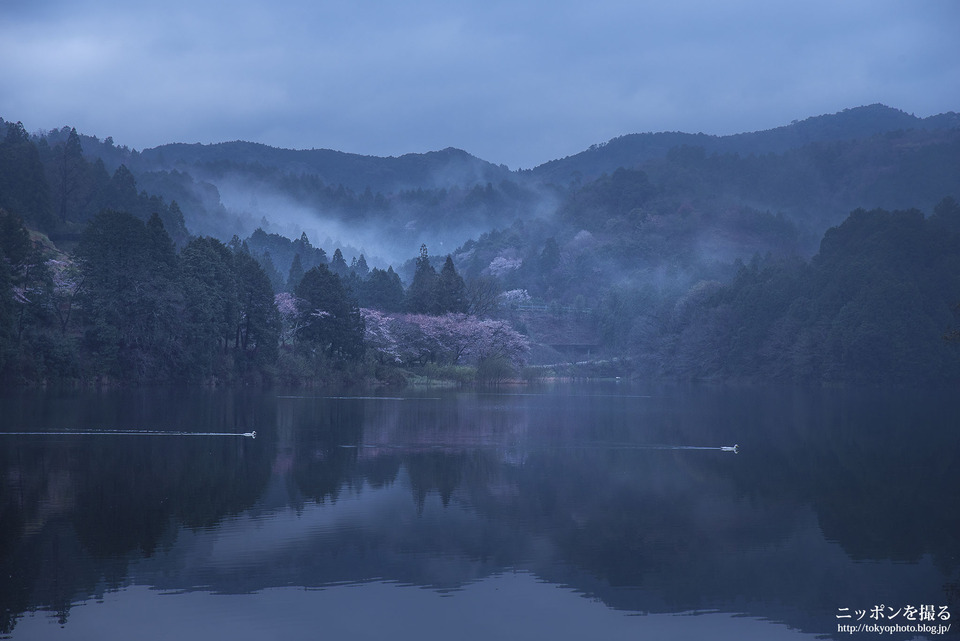 五桂池_0402