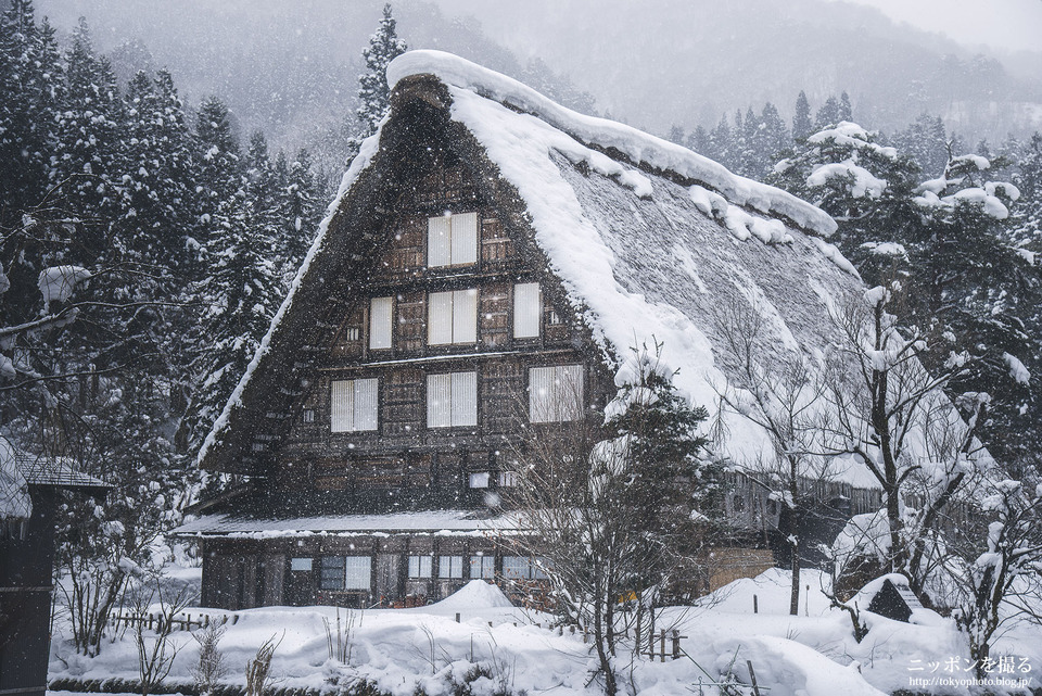 岐阜県_白川村_白川郷_0032