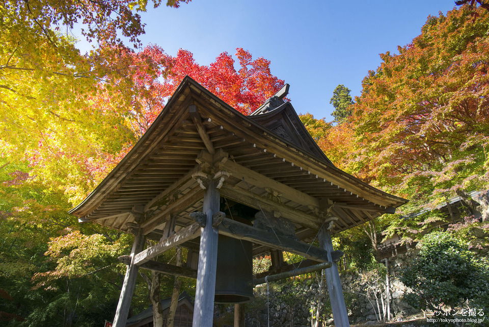 三重_松阪市_泰運寺_161113_0648