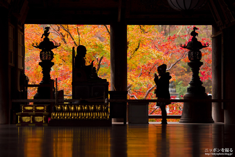 奈良_桜井市_長谷寺27_0435