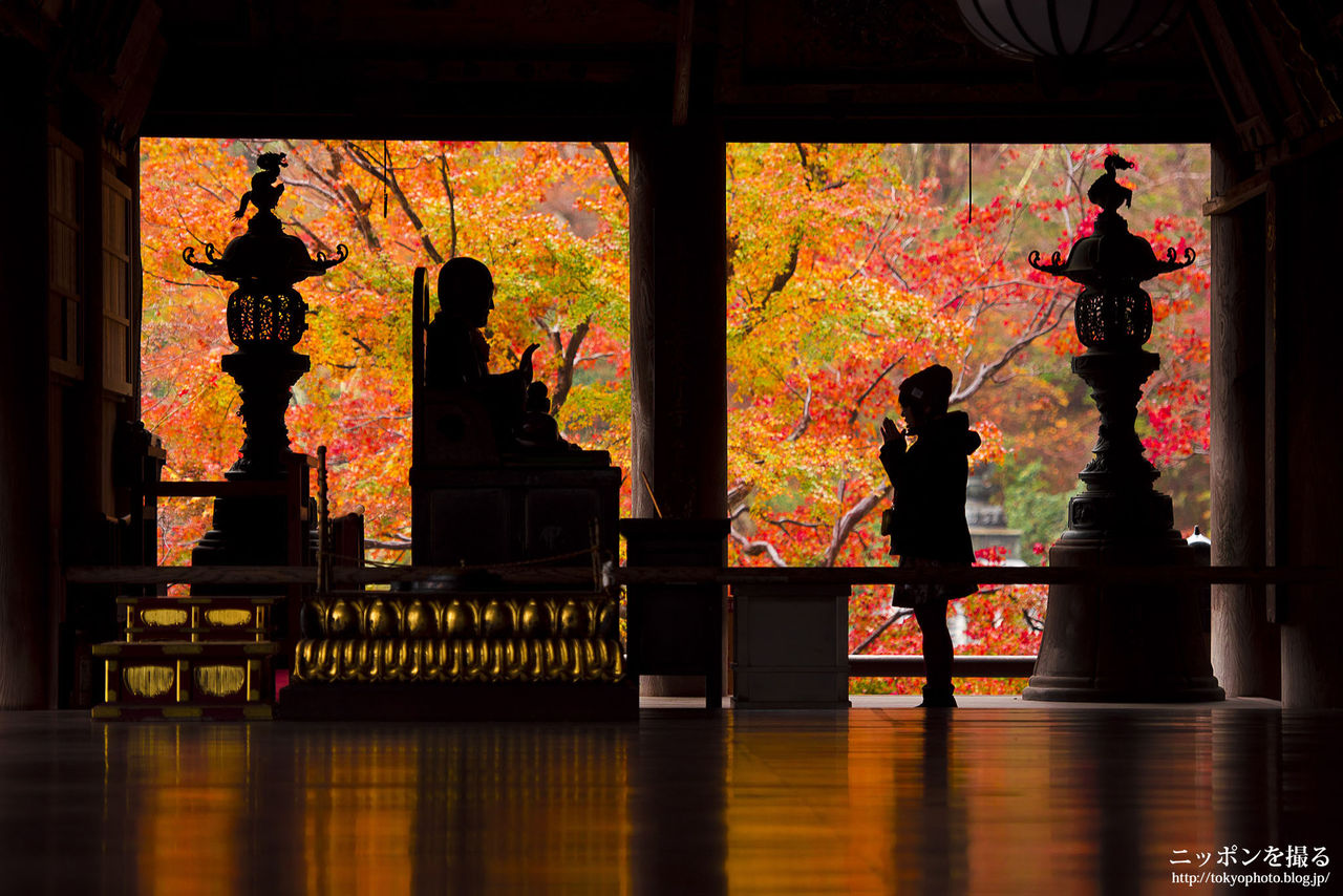 紅葉 長谷寺 奈良県桜井市 ニッポンを撮る 紅葉 長谷寺 奈良県桜井市 ニッポンを撮る