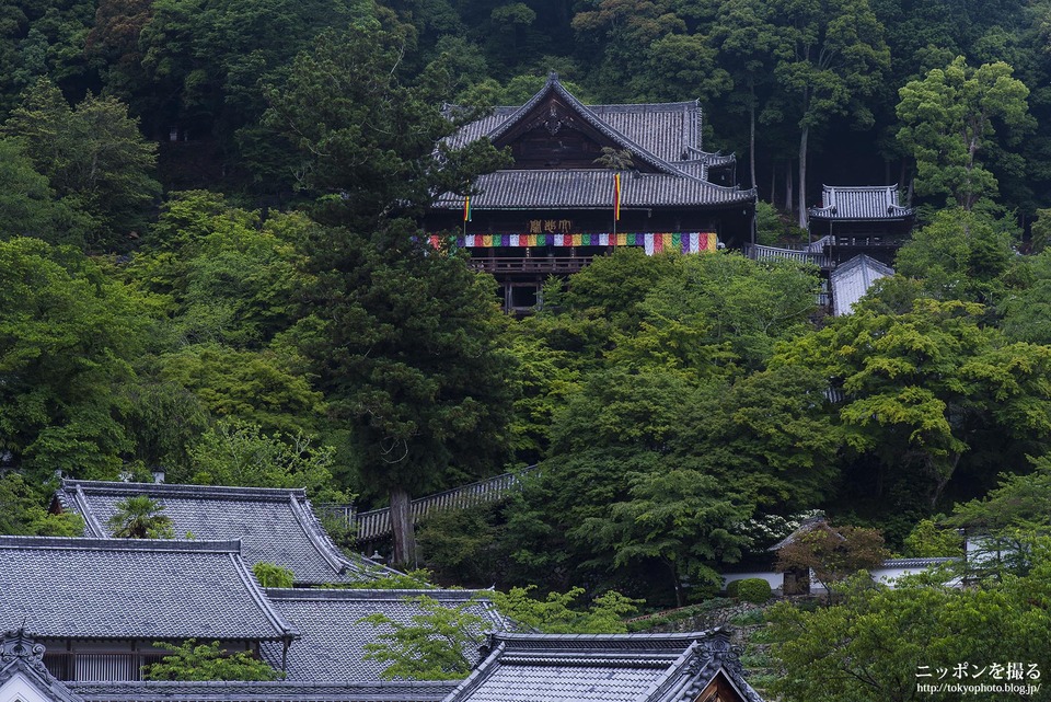 長谷寺_160613_0069