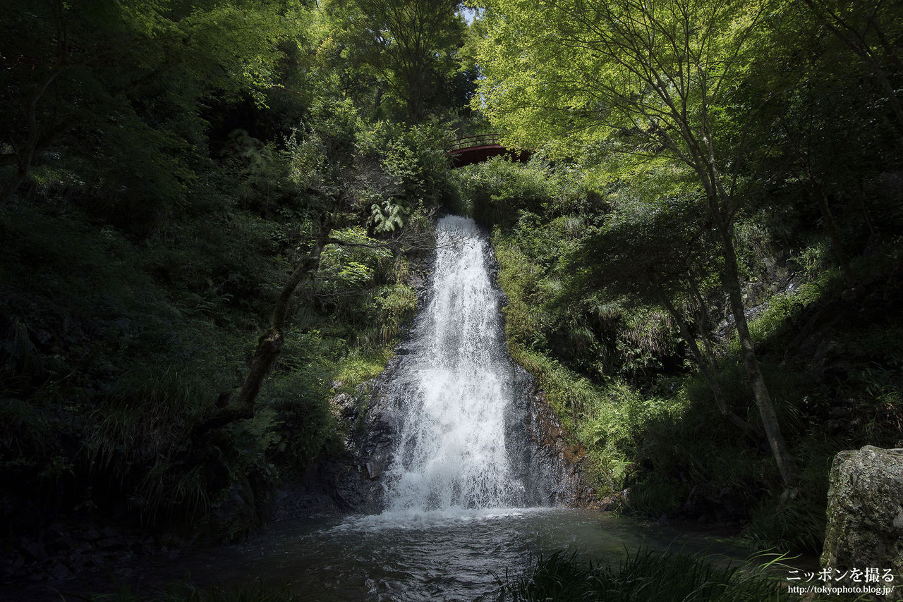岐阜の絶景 五宝滝とかいう隠れた絶景スポット ニッポンを撮る 岐阜の絶景 五宝滝とかいう隠れた絶景スポット ニッポンを撮る