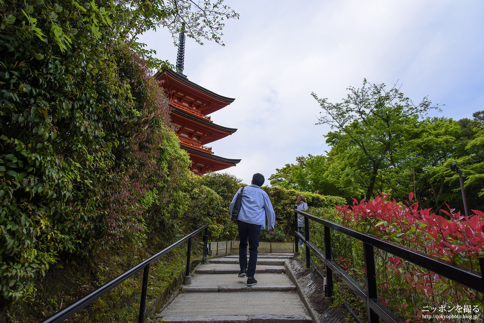 京都府_京都市東山区_清水寺_0131