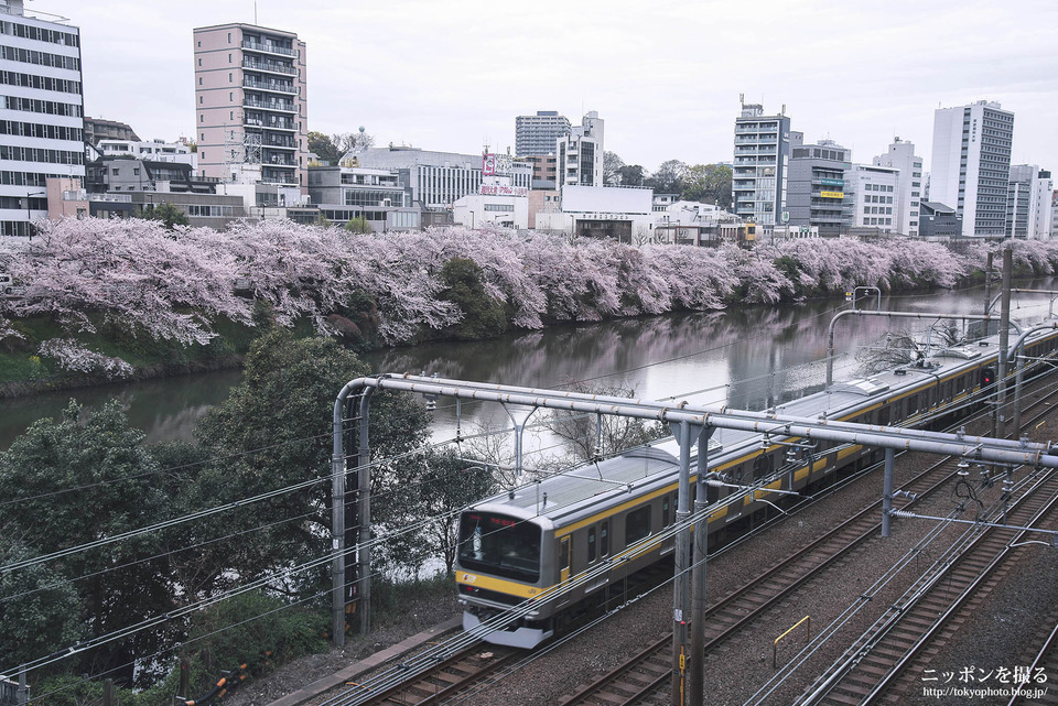 東京都_千代田区_飯田橋_外壕公園_0558