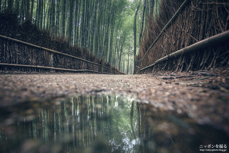 京都_嵯峨野竹林_161001_0066