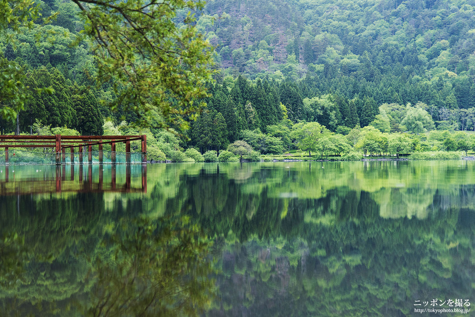 滋賀県_長浜市_余呉湖_180513_0056