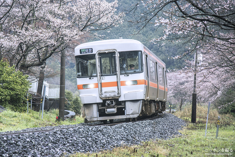 三重県_大紀町_伊勢柏崎_0380