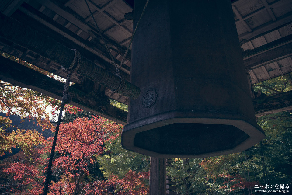 三重_松阪市_泰運寺_0694