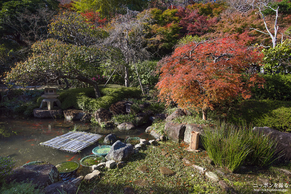 神奈川県_鎌倉市_長谷寺_0123