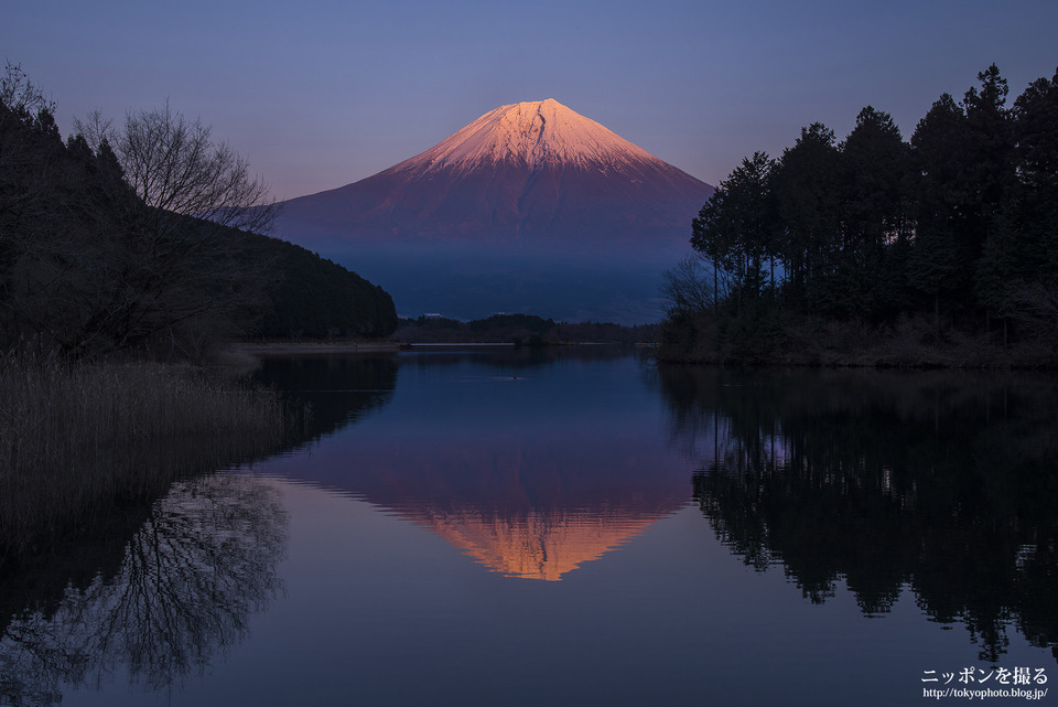 静岡県_富士宮市_田貫湖_0438