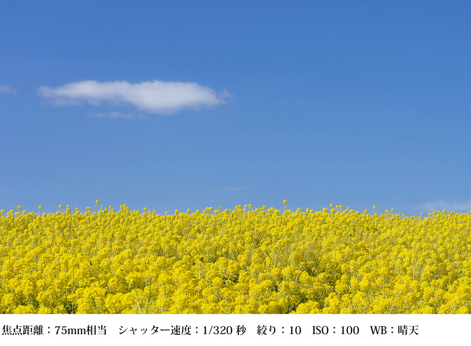 望遠_背景を切り分ける