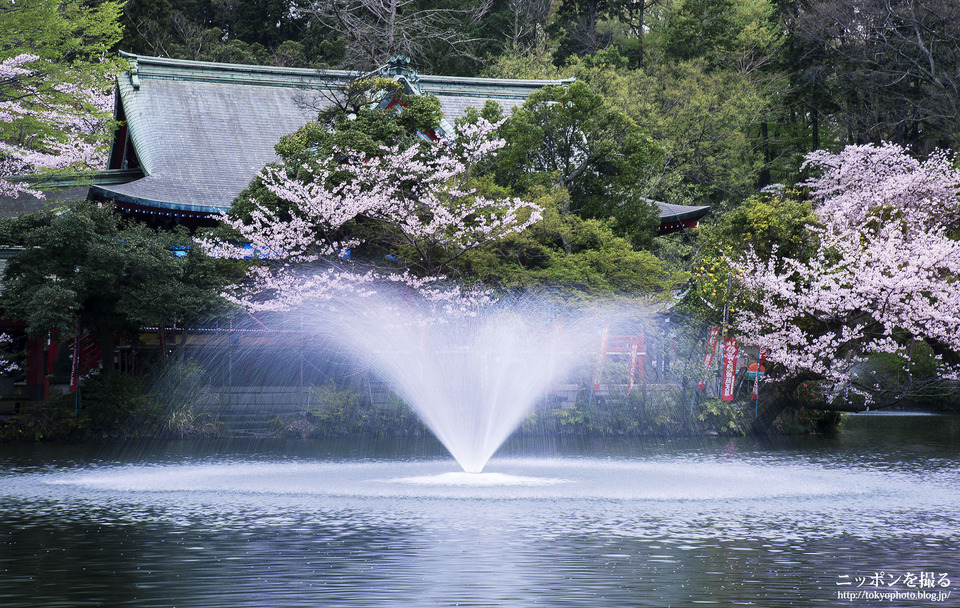 井の頭公園_0000