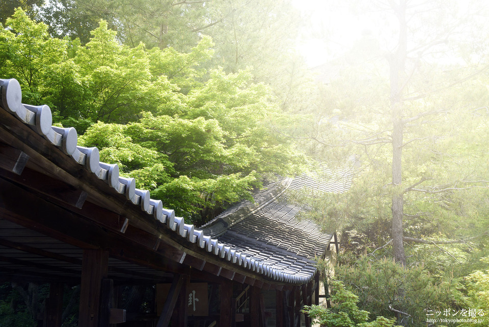 京都府_京都市東山区_高台寺_0292