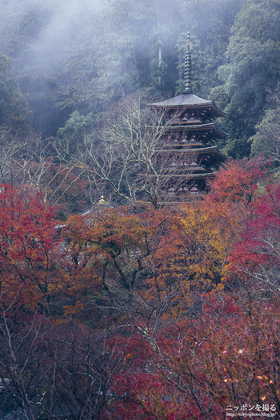 奈良_桜井市_長谷寺27_0418