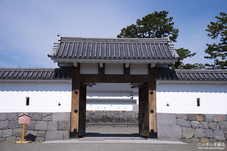 小田原城_160604_0088