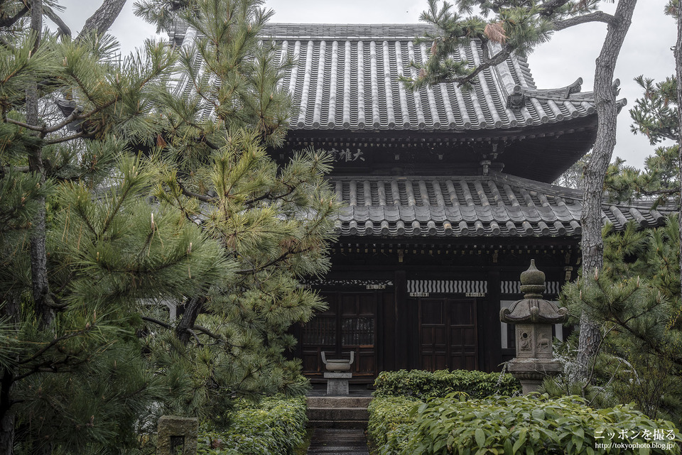 大阪府_堺市堺区_南宗寺_190321_0122