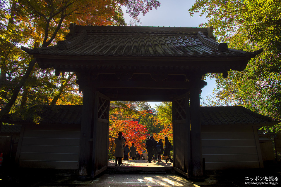 神奈川県_鎌倉市_円覚寺_171124_0183