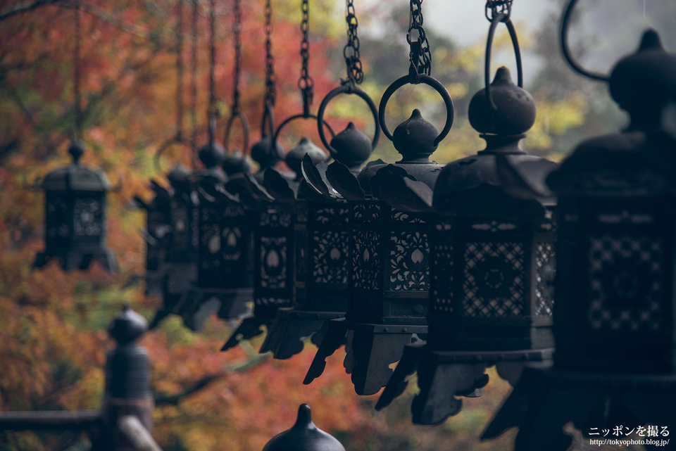 奈良_桜井市_談山神社_0303