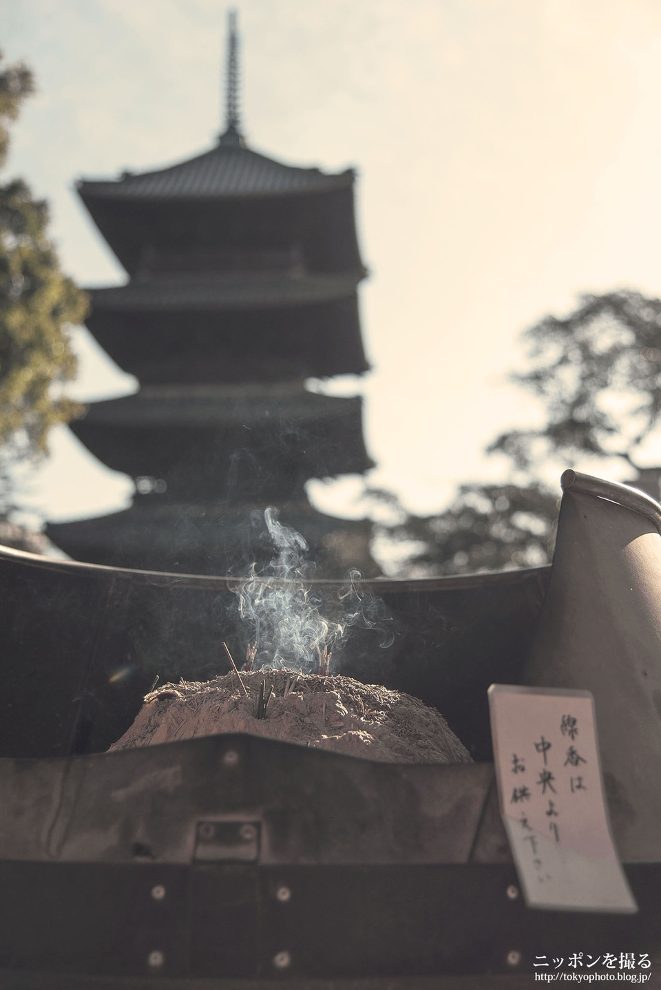 名古屋の撮影スポット_八事山興正寺_0004