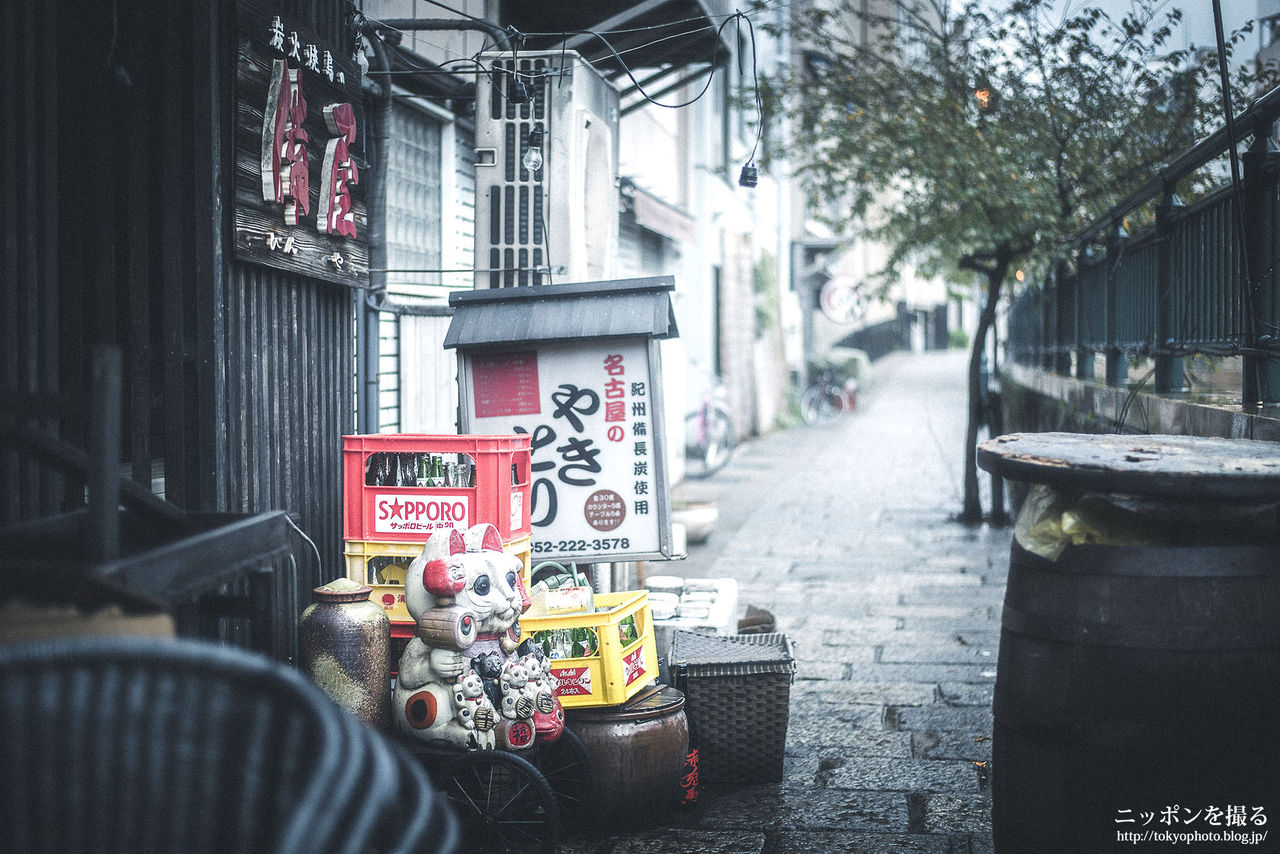 庄内緑地公園でコスモスと雨の日の名古屋スナップを楽しんできました ニッポンを撮る