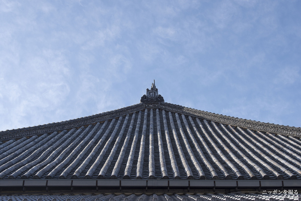 名古屋の撮影スポット_八事山興正寺_0002
