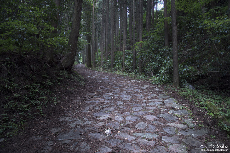 山中城跡と箱根旧街道_0037