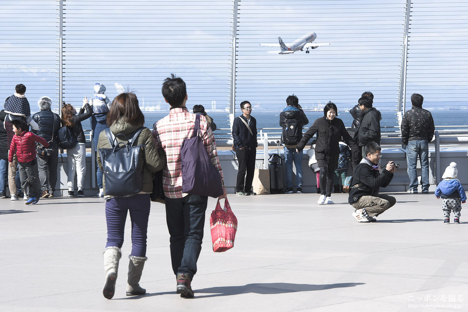 中部国際空港_セントレア_写真撮影_0012