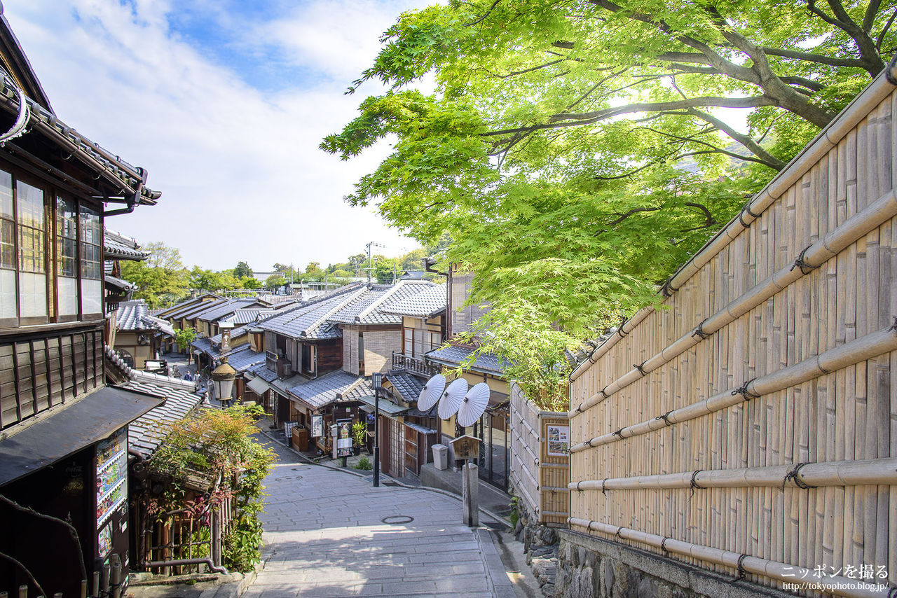 京都の新緑 二年坂 二寧坂 階段のある街並 ニッポンを撮る