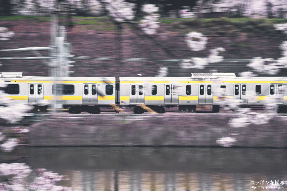 東京都_千代田区_飯田橋_外壕公園_0530