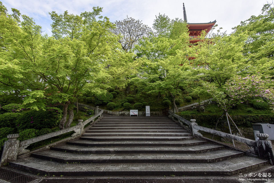 京都府_京都市東山区_清水寺_0143