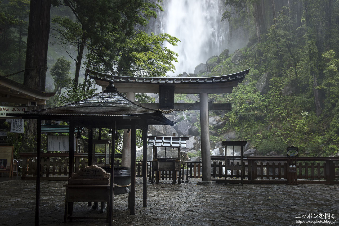 和歌山の深緑】世界遺産 那智の滝に行ってきた : ニッポンを撮る
