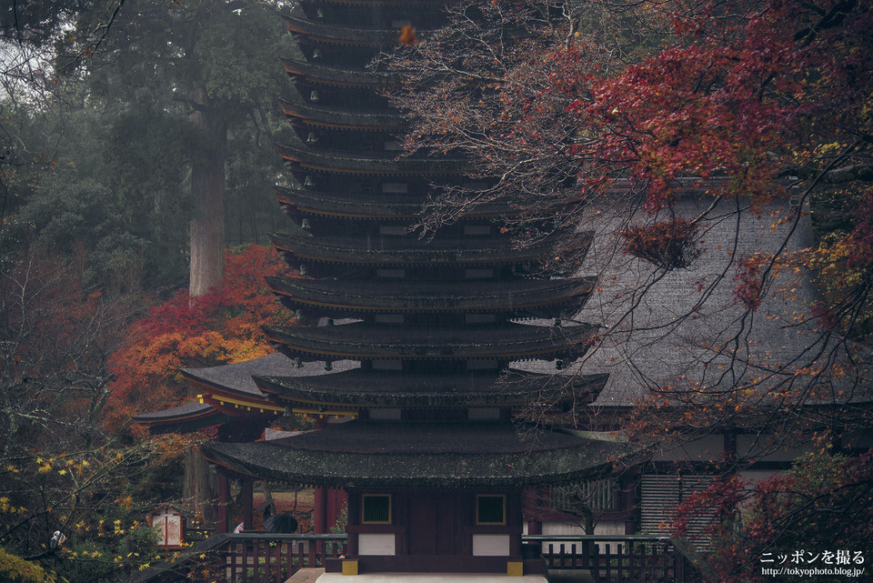 奈良_桜井市_談山神社_0301