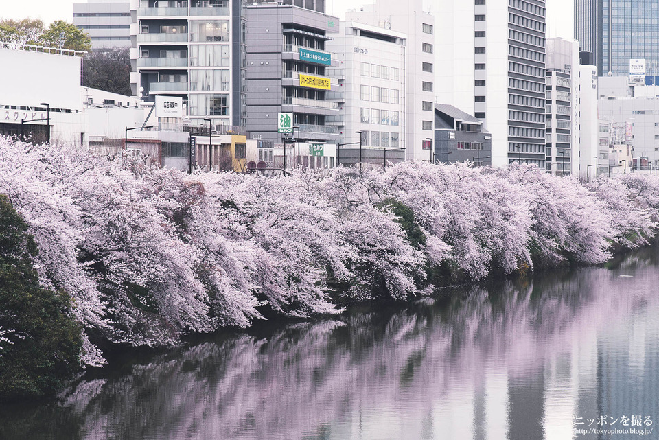 東京都_千代田区_飯田橋_外壕公園_0554