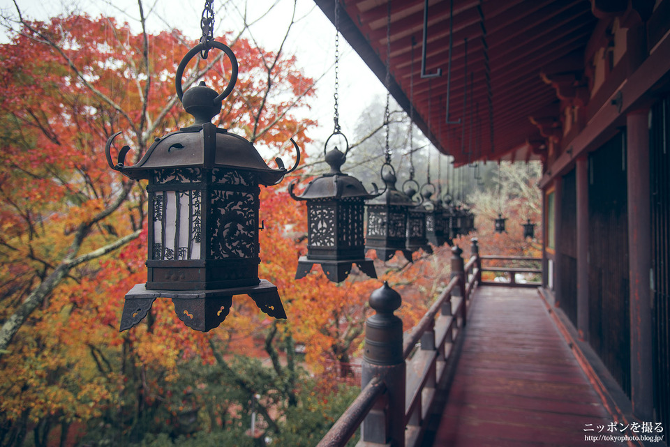 奈良_桜井市_談山神社_0318