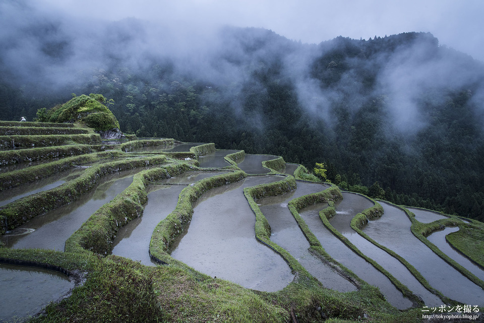 三重県_熊野市_丸山千枚田_0006