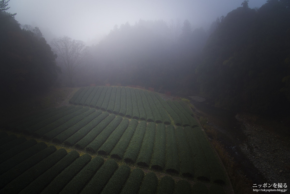 三重県_度会町_注連指川_0305