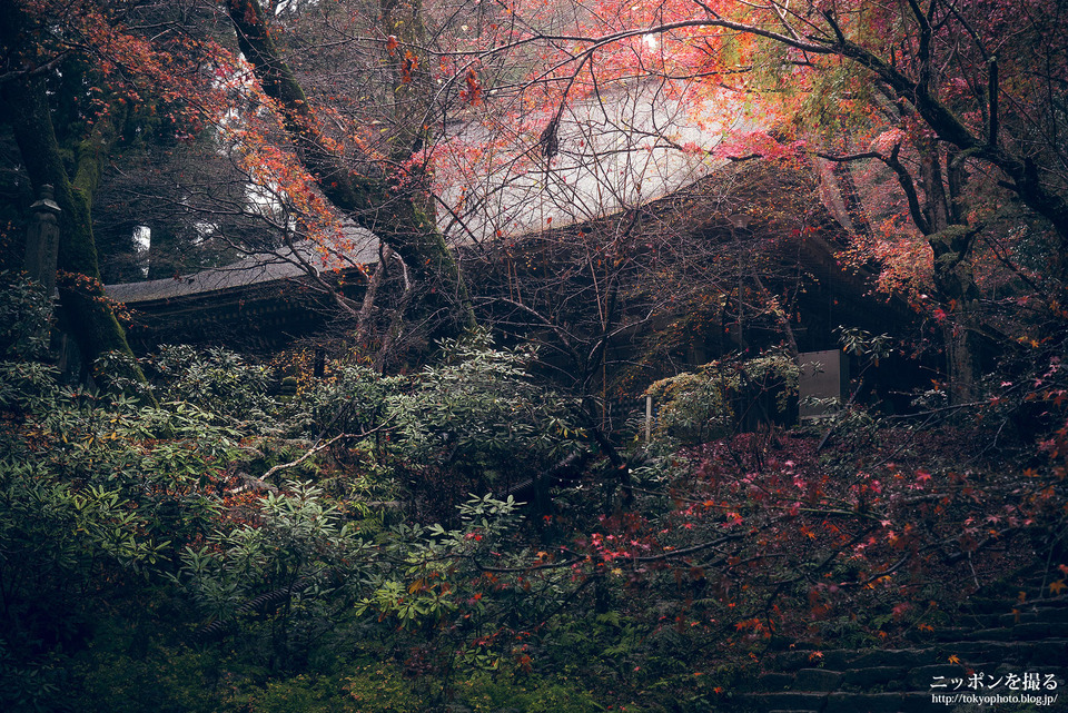 奈良_宇陀市_室生寺_0711