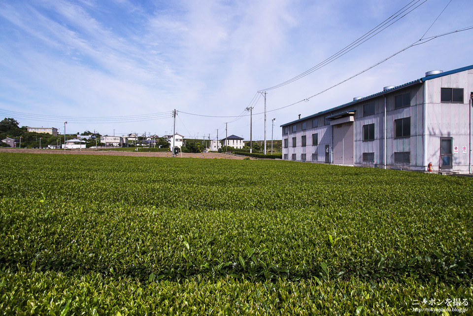 磐田市_0156