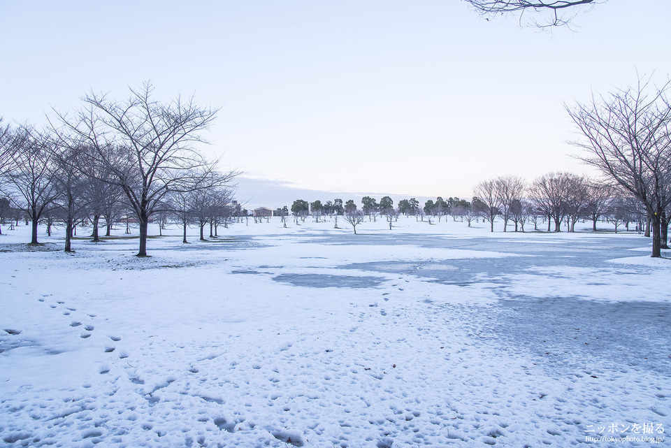 Toneri11_舎人公園_雪_2