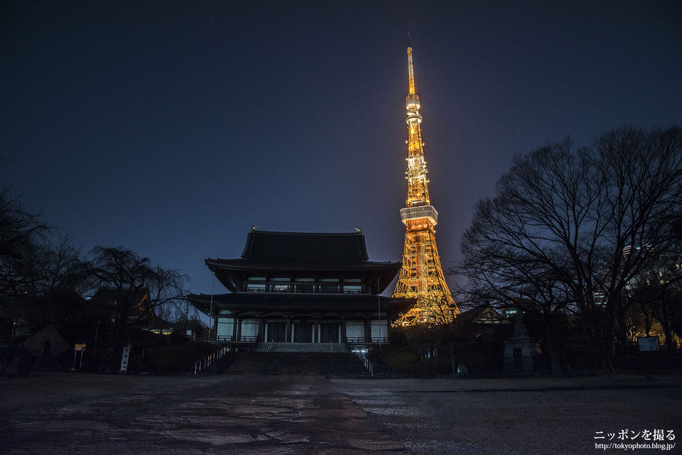 増上寺_0000