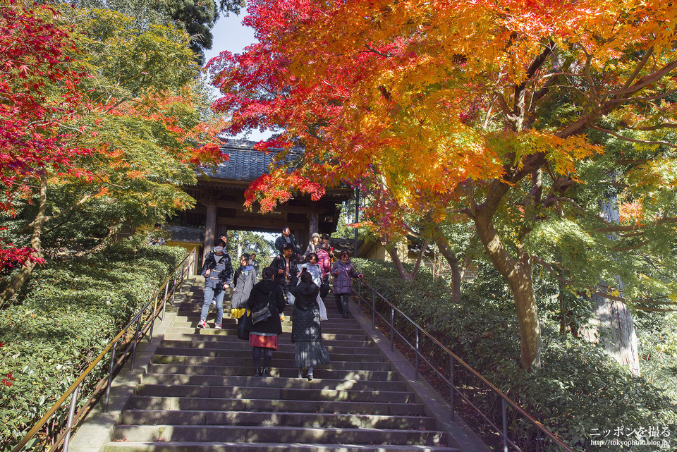 神奈川県_鎌倉市_円覚寺_0168