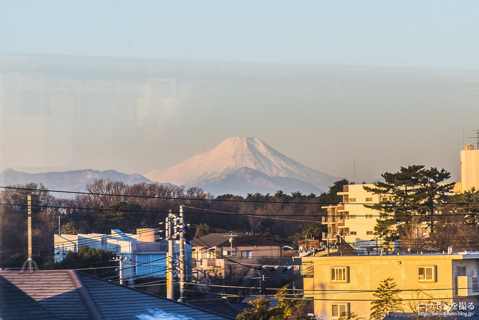 石神井公園110fuji