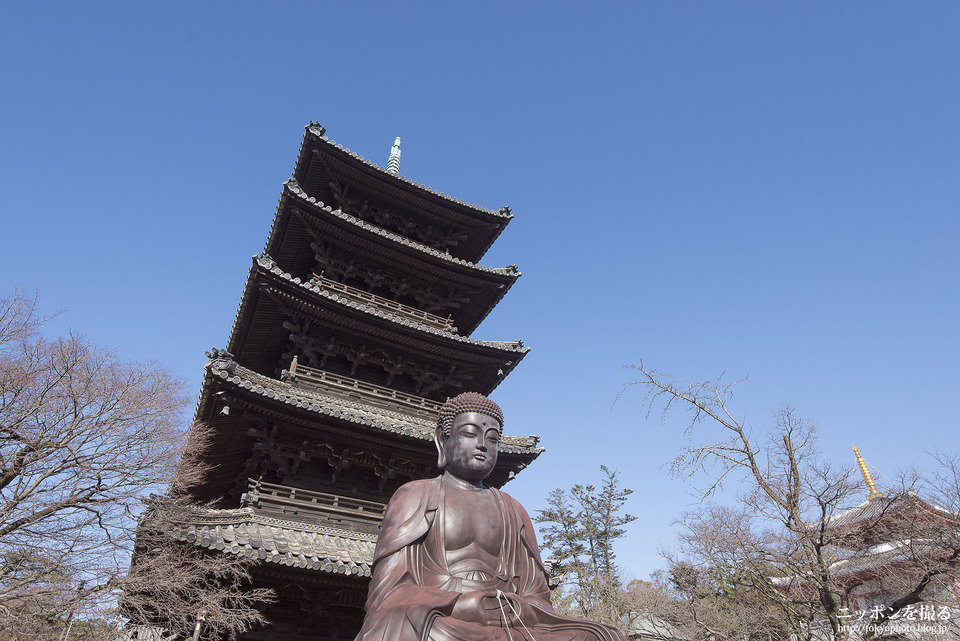 名古屋の撮影スポット_八事山興正寺_0001