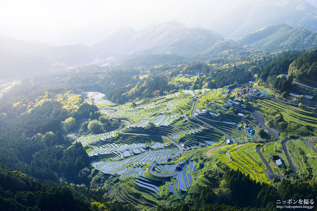 三重の新緑 棚田の絶景 丸山千枚田 ニッポンを撮る
