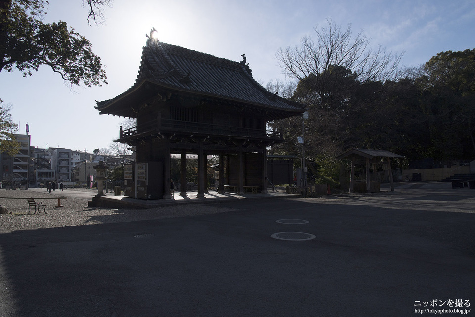 名古屋の撮影スポット_八事山興正寺_0008