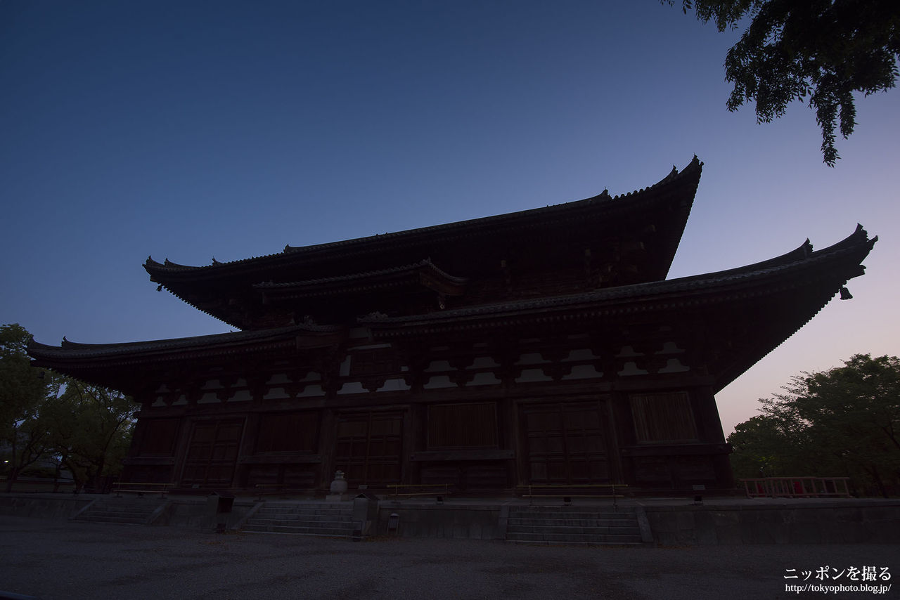 早朝参拝 東寺 一本桜の下見をしてきました ニッポンを撮る