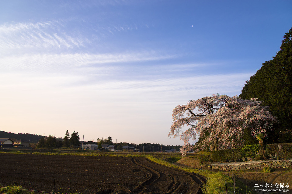 勝泉寺_0331