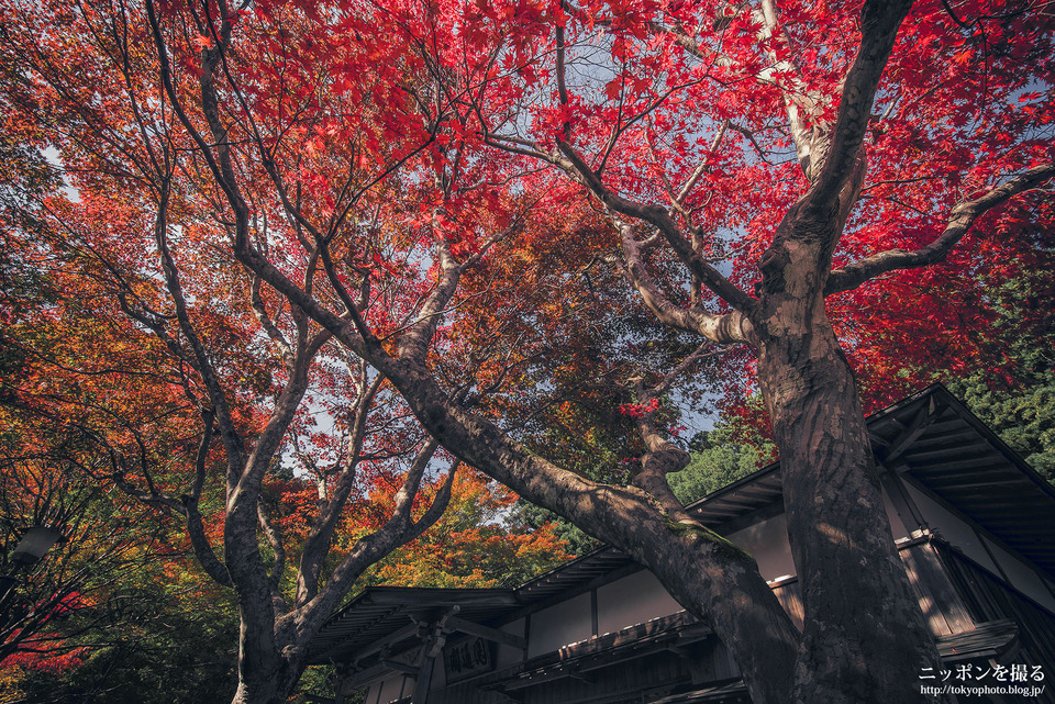 三重_松阪市_泰運寺_0691