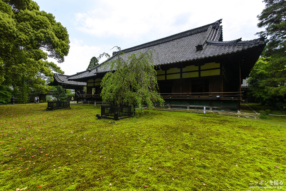 京都府_京都市東山区_青蓮院_0507